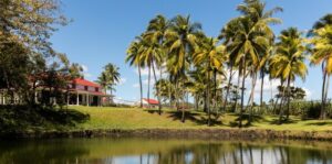 Lire la suite à propos de l’article Prélude de Longueteau – L’harmonie parfaite du Rhum Agricole de Guadeloupe