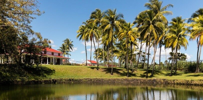 Prélude de Longueteau – L’harmonie parfaite du Rhum Agricole de Guadeloupe