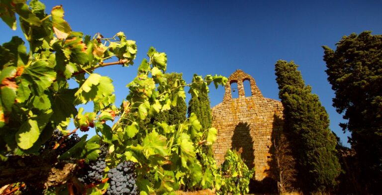 Lire la suite à propos de l’article Château Fabre Gasparets – L&rsquo;élégance du Corbières-Boutenac